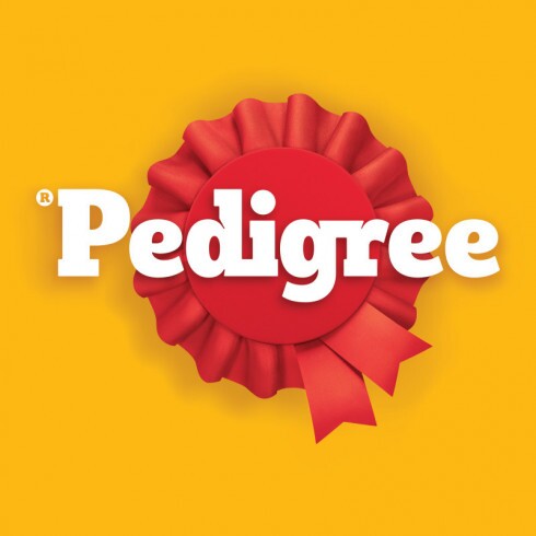Pedigree Biscrok 500g