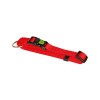 KERBL Miami nyakörv, piros, 20-35cm, 10mm KR83718