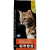 Matisse Neutered Salmon 10kg PMT100104S