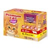 Premium Cat alutasak multipack 12*100g