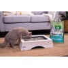 Sanicat macskaalom Natura Activa Vegetal cellulóz multipet 20l
