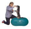 Paw Prosper FitPaws TRAX kék mogyoró labda 60 cm
