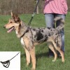 Trixie Hám Lead n Walk Training S 27–36cm/20mm,fekete TRX1301