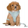 Trixie Hám Soft Pórázzal Junior & Puppy, M–L: 36–50 cm/10 mm, 2,00 m, Menta