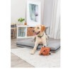 Trixie Nyakörv Citystyle PVC M 35-42cm/20mm zsálya