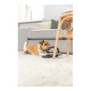 Trixie Nyakörv Citystyle PVC M 35-42cm/20mm zsálya