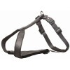 Trixie Hám Y Premium S 42–50cm/15mm Grafit TRX1998316
