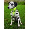 Trixie Biztonsági Kendő Kutyának L–xl 43–60cm TRX30123