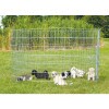 Trixie Puppy ketrec galvanizált 154x91cm TRX3954