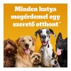Pedigree Biscrok 500g